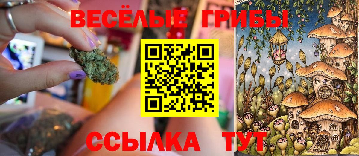 Псилоцибиновые грибы Cubensis  Галлюциногенные грибы мухоморы  Вход с VPN  Павловский Посад 